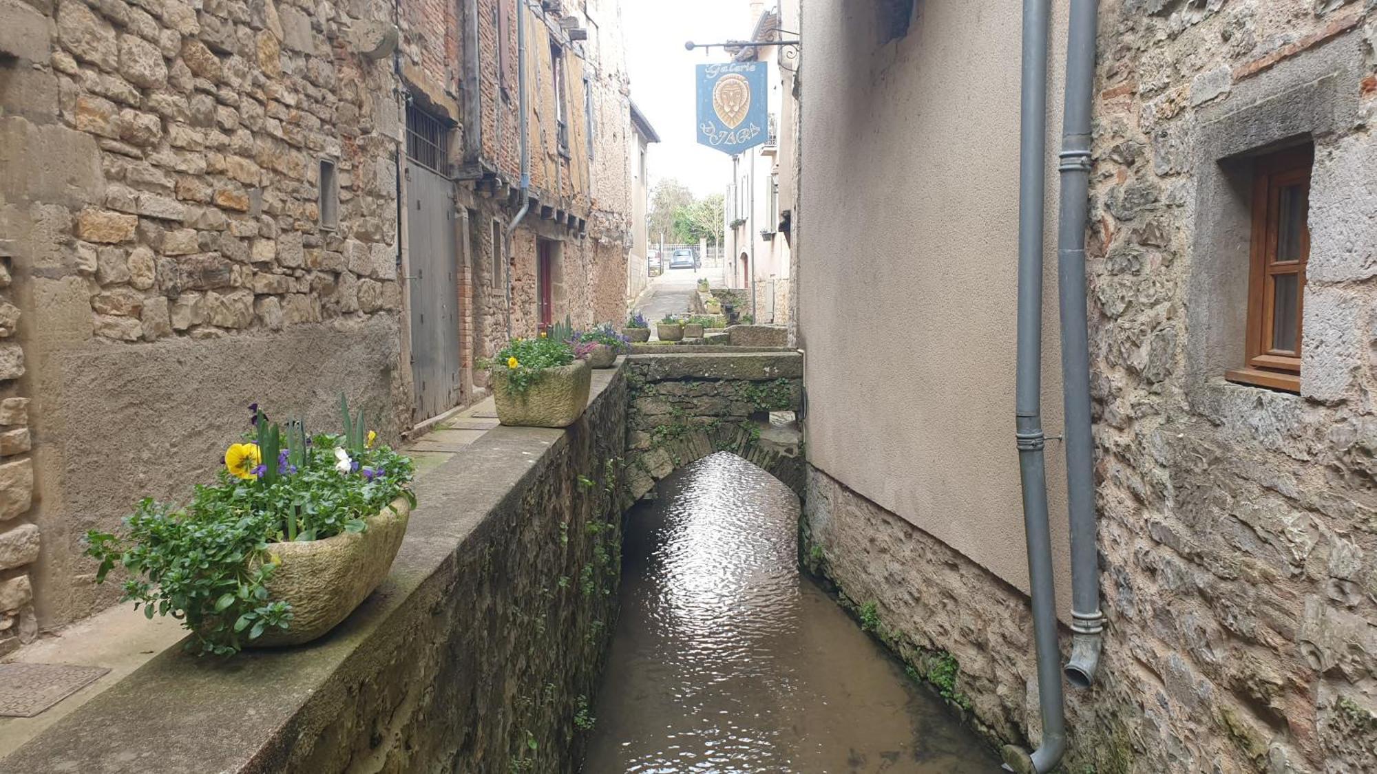 Seuls En Pleine Nature - Gite La Cote Blanche Puygaillard-de-Quercy Экстерьер фото