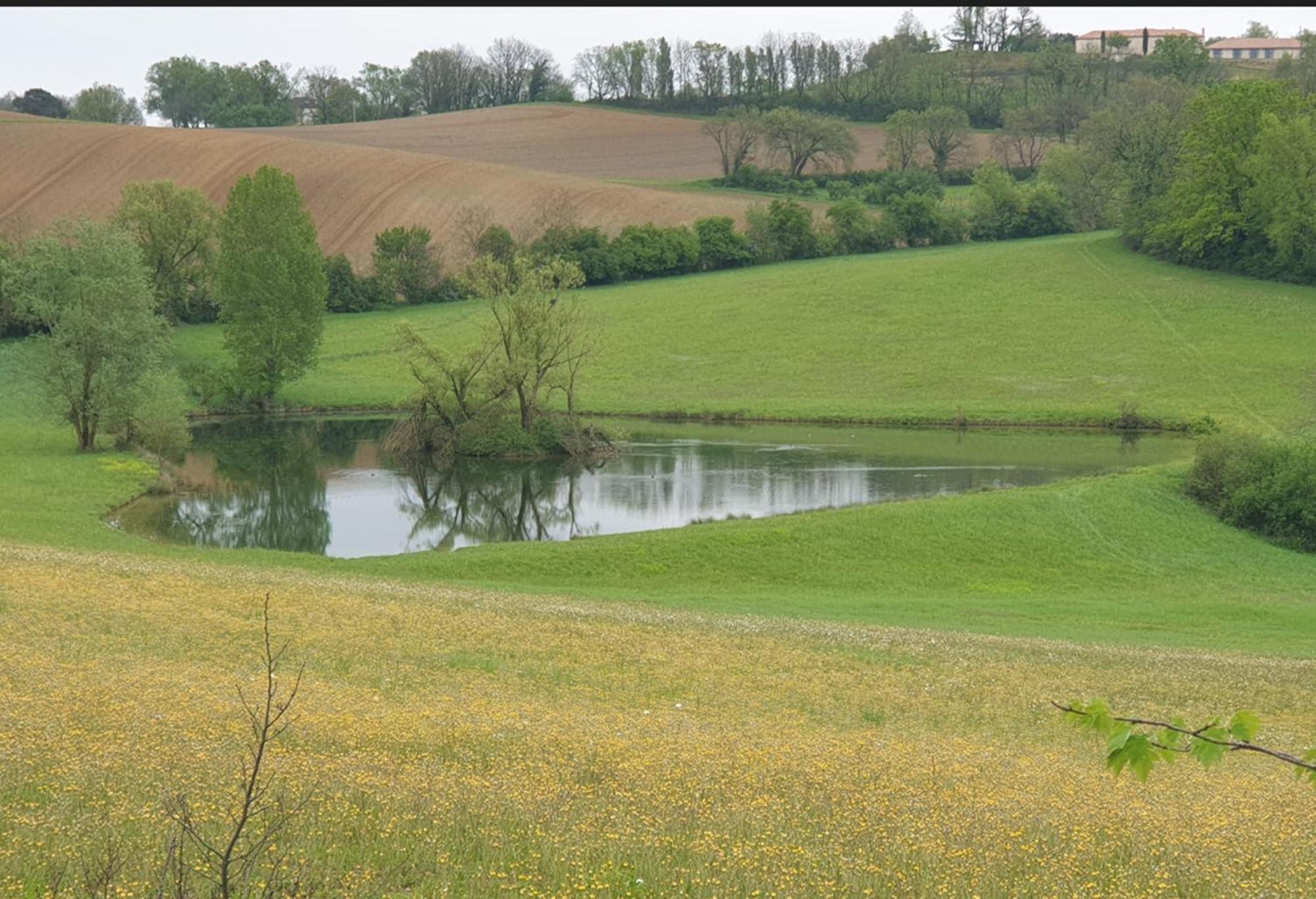 Seuls En Pleine Nature - Gite La Cote Blanche Puygaillard-de-Quercy Экстерьер фото