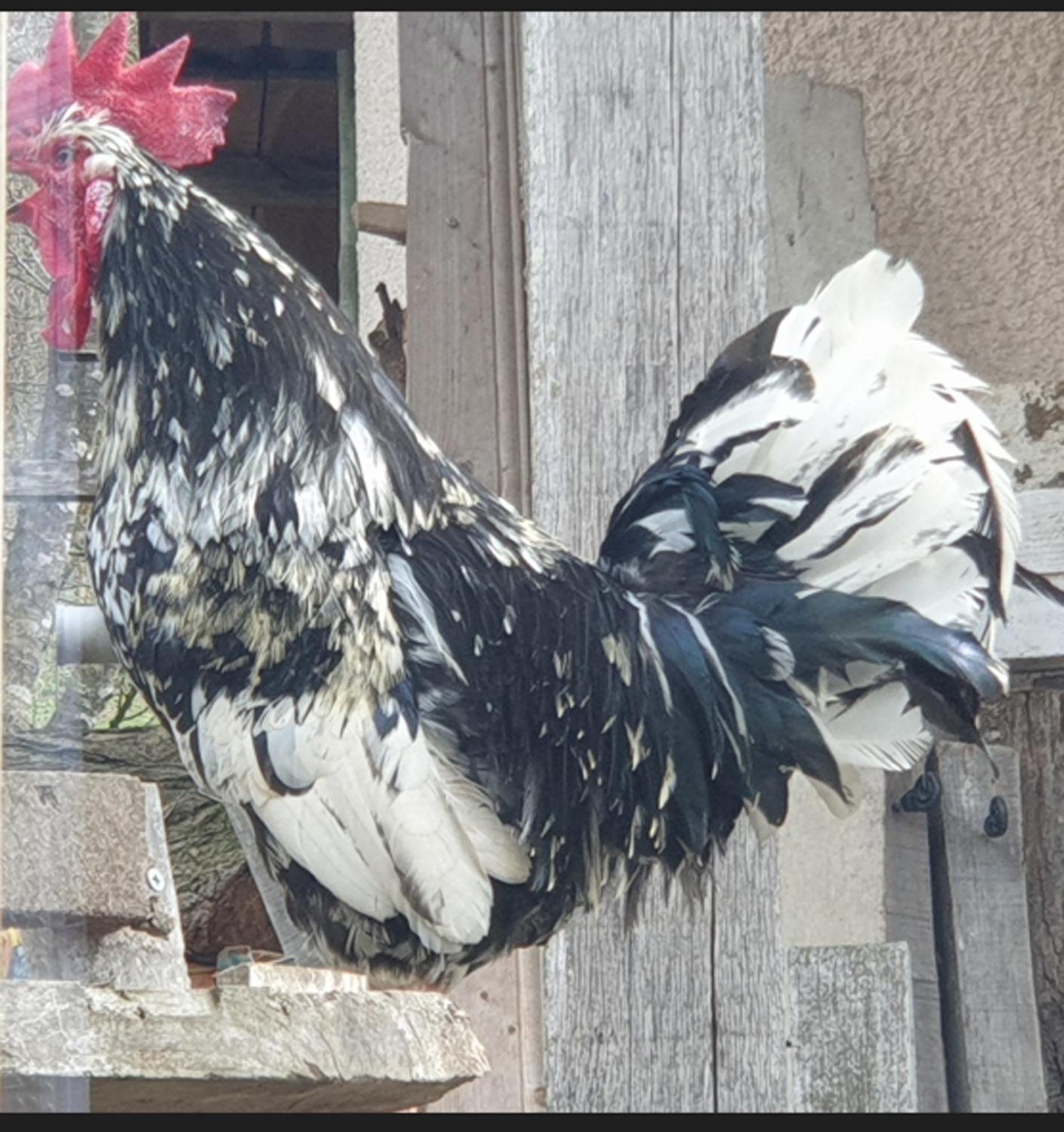 Seuls En Pleine Nature - Gite La Cote Blanche Puygaillard-de-Quercy Экстерьер фото